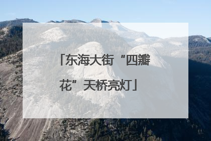 东海大街“四瓣花”天桥亮灯