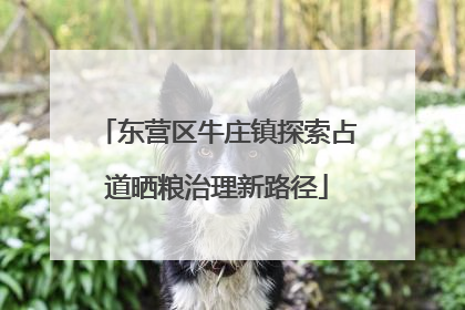 东营区牛庄镇探索占道晒粮治理新路径