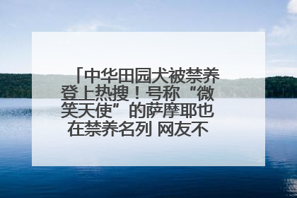 中华田园犬被禁养登上热搜！号称“微笑天使”的萨摩耶也在禁养名列 网友不解西安多部门回应