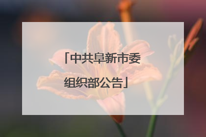 中共阜新市委组织部公告