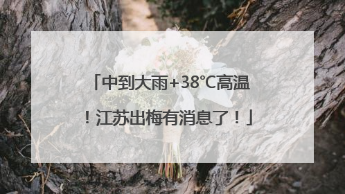中到大雨+38℃高温！江苏出梅有消息了！
