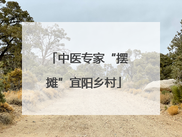 中医专家“摆摊”宜阳乡村