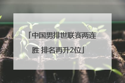 中国男排世联赛两连胜 排名再升2位