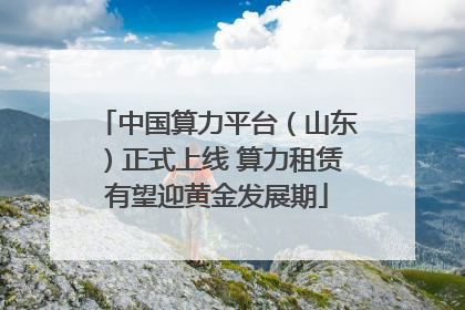 中国算力平台（山东）正式上线 算力租赁有望迎黄金发展期