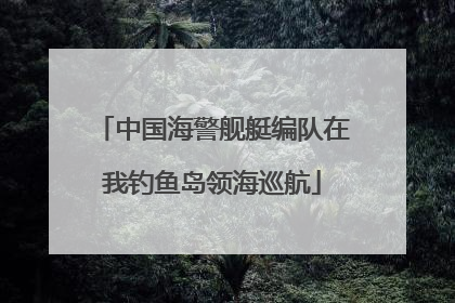 中国海警舰艇编队在我钓鱼岛领海巡航