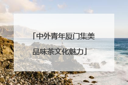中外青年厦门集美品味茶文化魅力