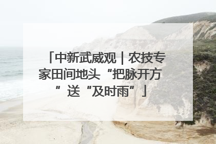中新武威观｜农技专家田间地头“把脉开方”送“及时雨”