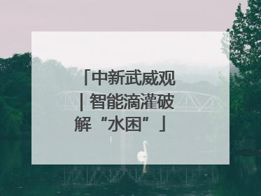 中新武威观｜智能滴灌破解“水困”