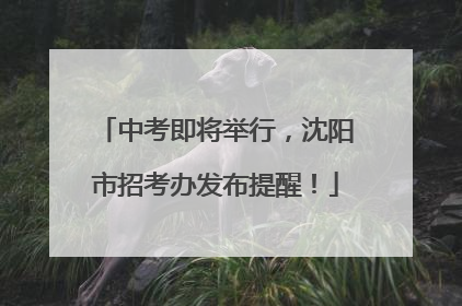中考即将举行，沈阳市招考办发布提醒！