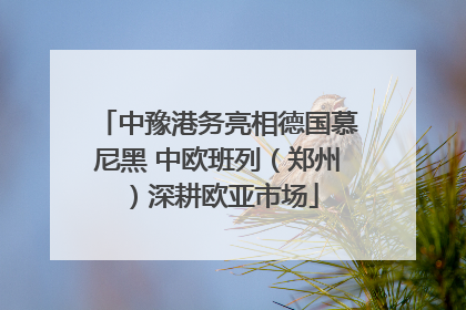 中豫港务亮相德国慕尼黑 中欧班列（郑州）深耕欧亚市场