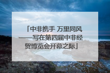 中非携手 万里同风——写在第四届中非经贸博览会开幕之际
