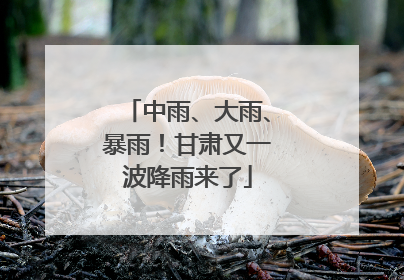 中雨、大雨、暴雨！甘肃又一波降雨来了