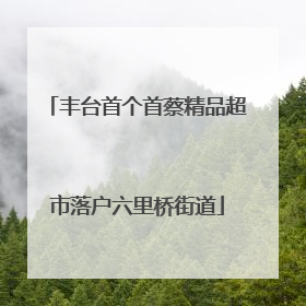 丰台首个首蔡精品超市落户六里桥街道