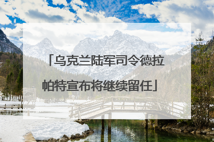 乌克兰陆军司令德拉帕特宣布将继续留任