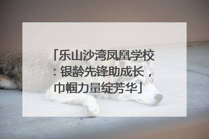乐山沙湾凤凰学校：银龄先锋助成长，巾帼力量绽芳华