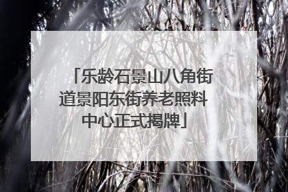 乐龄石景山八角街道景阳东街养老照料中心正式揭牌