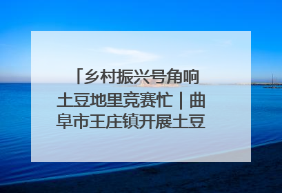 乡村振兴号角响 土豆地里竞赛忙｜曲阜市王庄镇开展土豆收获劳动竞赛