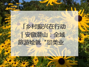 乡村振兴在行动｜安徽潜山：全域旅游绘就“景美业兴民富”新画卷