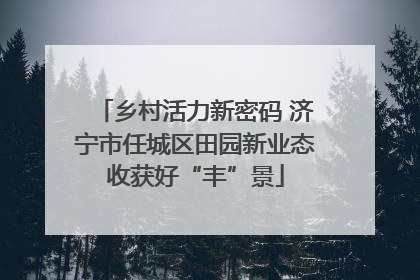 乡村活力新密码 济宁市任城区田园新业态收获好“丰”景