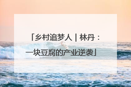 乡村追梦人｜林丹：一块豆腐的产业逆袭