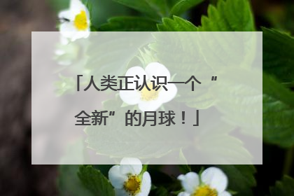 人类正认识一个“全新”的月球！