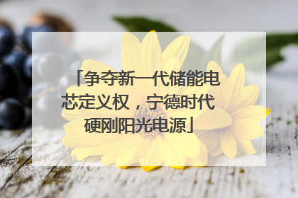 争夺新一代储能电芯定义权，宁德时代硬刚阳光电源