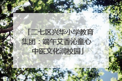 二七区兴华小学教育集团：端午艾香沁童心 中医文化润校园