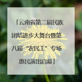 云南省第二届民族团结进步大舞台暨第八届“农民工”专场惠民演出启幕