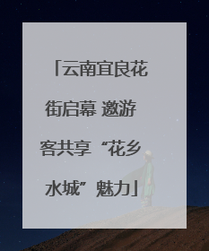 云南宜良花街启幕 邀游客共享“花乡水城”魅力