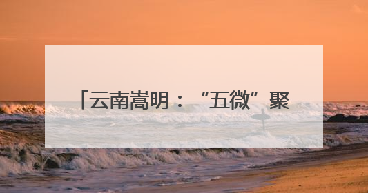 云南嵩明：“五微”聚民心“3456”筑基石，精治善治谱新篇