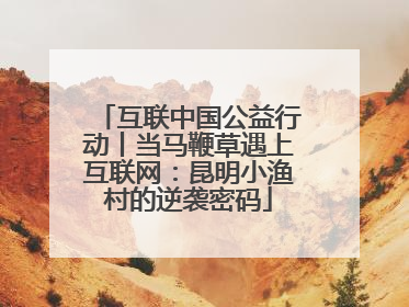 互联中国公益行动丨当马鞭草遇上互联网：昆明小渔村的逆袭密码