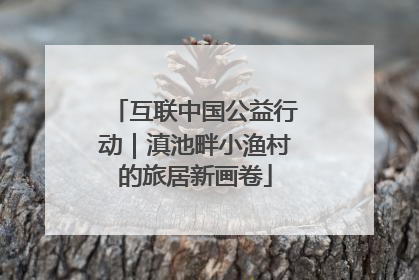 互联中国公益行动｜滇池畔小渔村的旅居新画卷