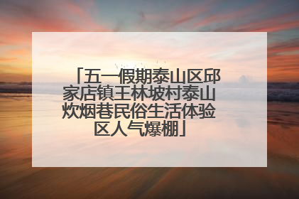 五一假期泰山区邱家店镇王林坡村泰山炊烟巷民俗生活体验区人气爆棚