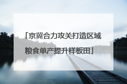 京冀合力攻关打造区域粮食单产提升样板田
