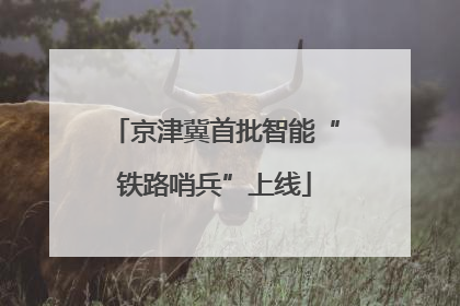 京津冀首批智能“铁路哨兵”上线
