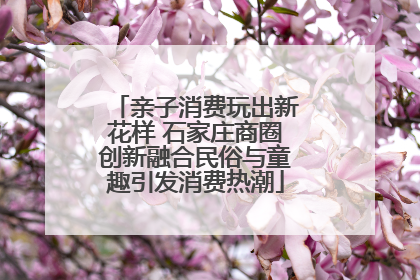 亲子消费玩出新花样 石家庄商圈创新融合民俗与童趣引发消费热潮