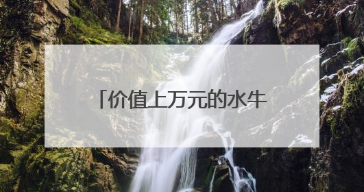 价值上万元的水牛不见了 民警用无人机发现其踪迹
