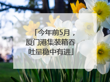 今年前5月，厦门港集装箱吞吐量稳中有进
