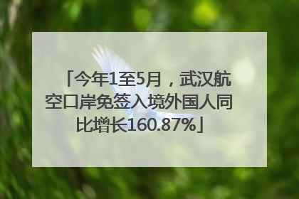 今年1至5月，武汉航空口岸免签入境外国人同比增长160.87%