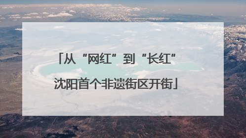 从“网红”到“长红” 沈阳首个非遗街区开街