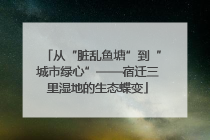 从“脏乱鱼塘”到“城市绿心”——宿迁三里湿地的生态蝶变