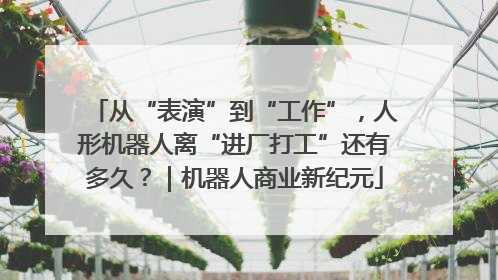 从“表演”到“工作”，人形机器人离“进厂打工”还有多久？｜机器人商业新纪元