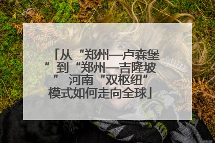 从“郑州—卢森堡”到“郑州—吉隆坡” 河南“双枢纽”模式如何走向全球