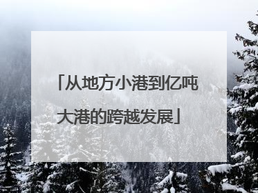 从地方小港到亿吨大港的跨越发展