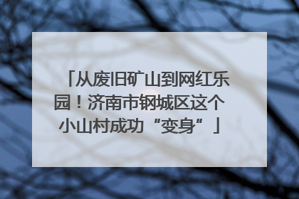 从废旧矿山到网红乐园！济南市钢城区这个小山村成功“变身”