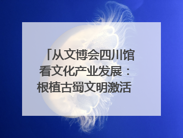 从文博会四川馆看文化产业发展：根植古蜀文明激活创新基因｜文博向“新”