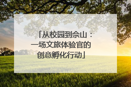 从校园到佘山：一场文旅体验官的创意孵化行动