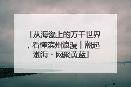 从海瓷上的万千世界，看懂滨州浪漫｜潮起渤海・网聚黄蓝