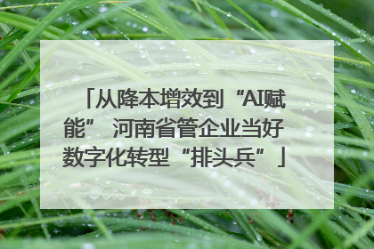 从降本增效到“AI赋能” 河南省管企业当好数字化转型“排头兵”