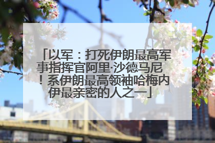 以军：打死伊朗最高军事指挥官阿里·沙德马尼！系伊朗最高领袖哈梅内伊最亲密的人之一